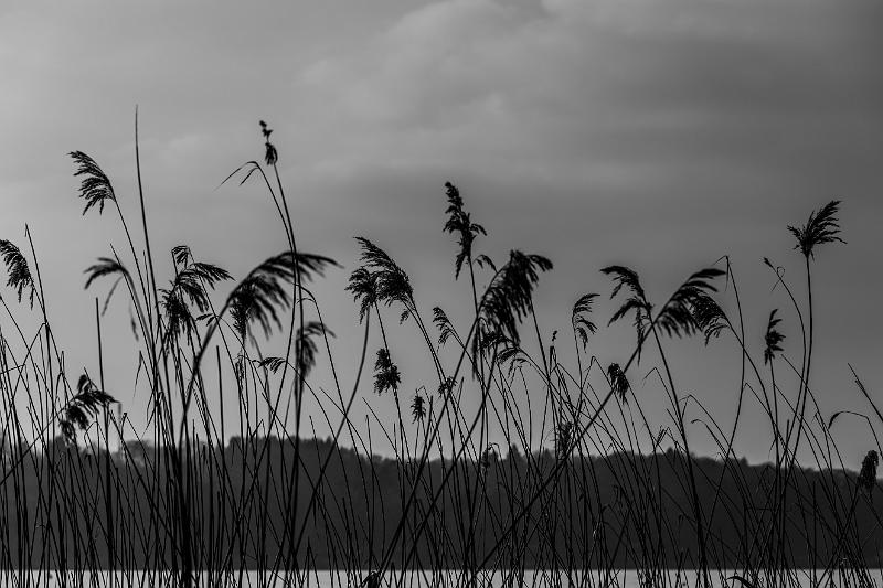 2018_02_24_Lac des Settons (0061).jpg - Lac des Settons (Février 2018)